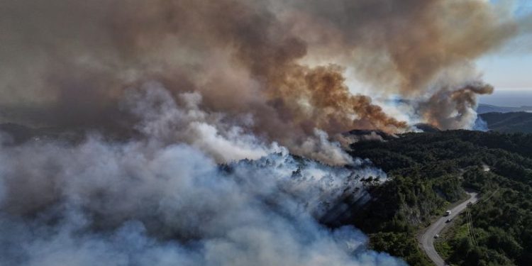 Wildfires sweep through forests in drought-hit Syrian coast in major test for new government